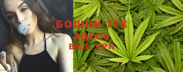 ALPHA-PVP Осинники