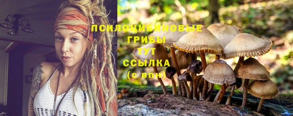 ALPHA-PVP Осинники