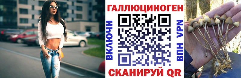 блэк спрут ONION  Переславль-Залесский  Галлюциногенные грибы Cubensis 