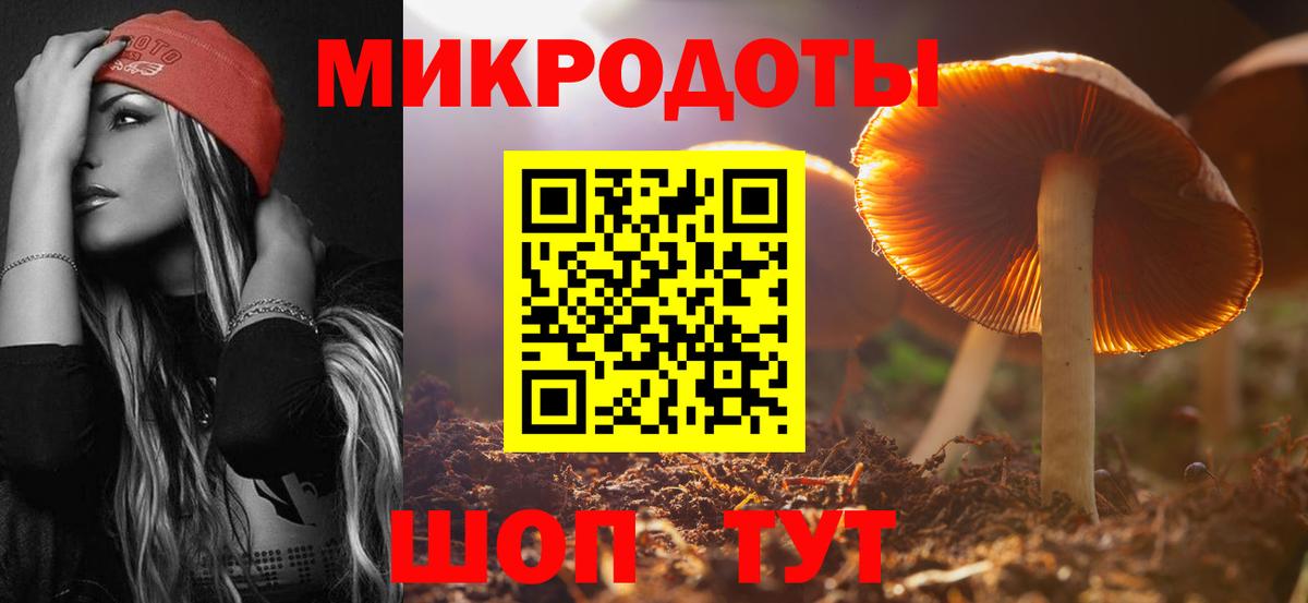 Псилоцибиновые грибы Cubensis Переславль-Залесский