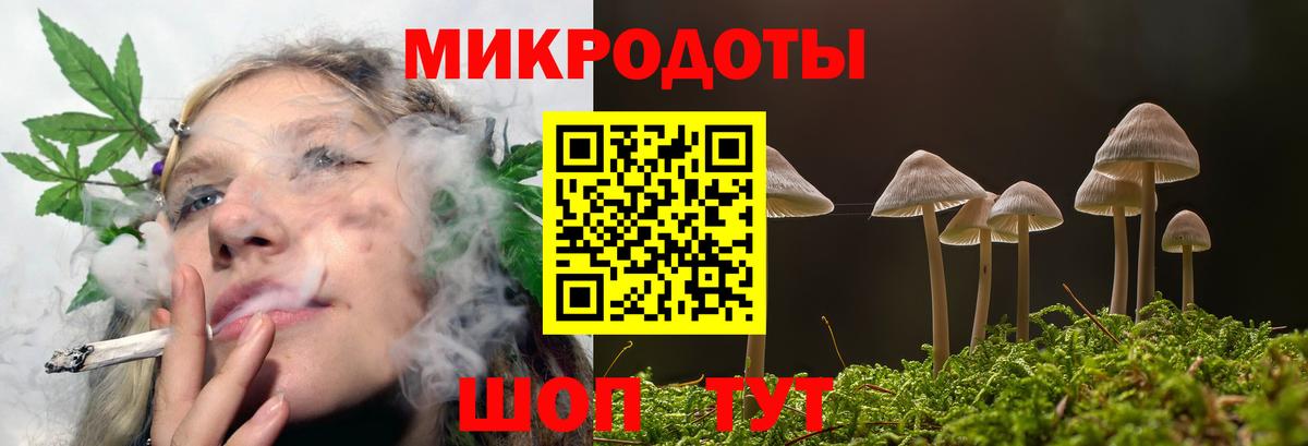 Переславль-Залесский  Псилоцибиновые грибы GOLDEN TEACHER  Вход с VPN 
